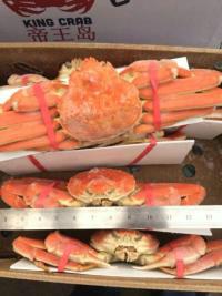 供應(yīng)進(jìn)口加拿大雪蟹