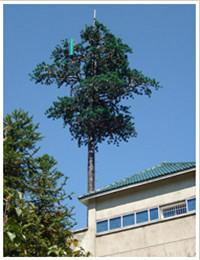 供应福建仿生树