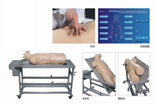 供应综合穿刺术与叩诊检查训练模拟人