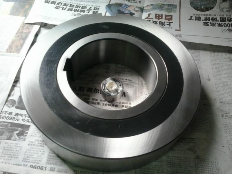 供應(yīng)定制皮帶機逆止器