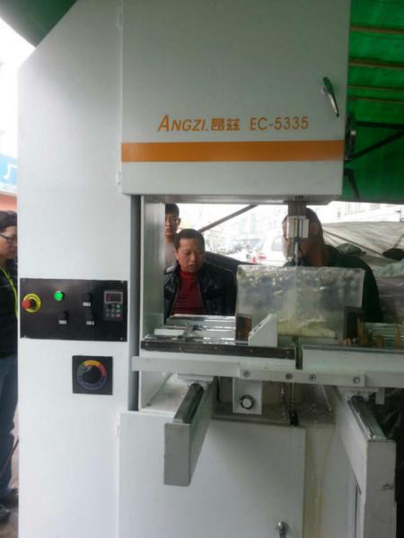 供應無錫市板材切割EC-5115立式帶鋸床    進口立式鋸床