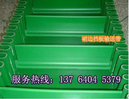 供應綠色pvc輸送帶