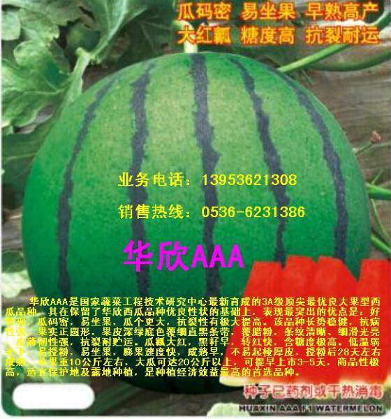 供應(yīng)京研新二號華欣一號華欣二號華欣AAA