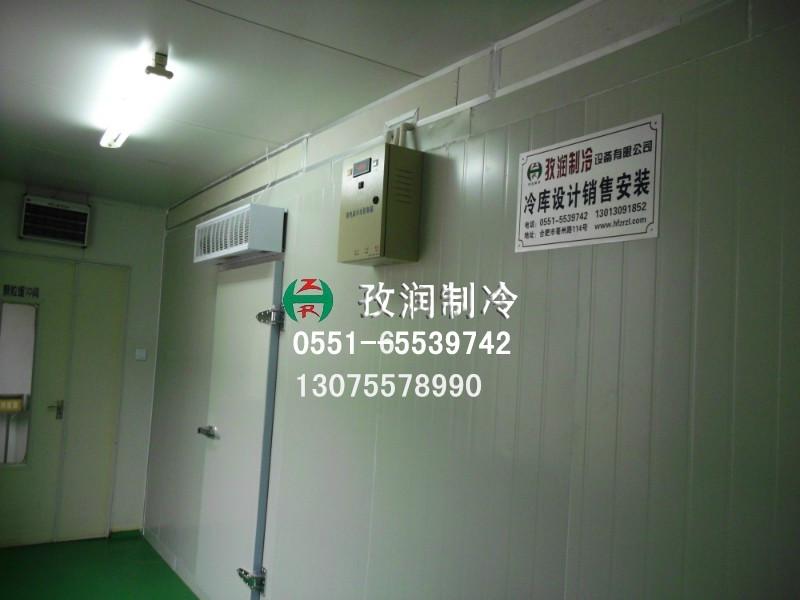 供應(yīng)安裝保鮮冷庫(kù)蔬菜冷庫(kù)茶葉冷庫(kù)恒溫冷庫(kù)