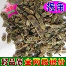 國槐種子圖片/國槐種子樣板圖 (2)