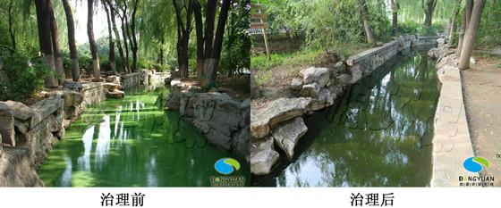 供應山東藍藻治理公司邦源環(huán)保NO1