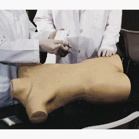 術(shù)前無(wú)菌操作訓(xùn)練模型圖片