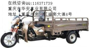 150三轮摩托车图片