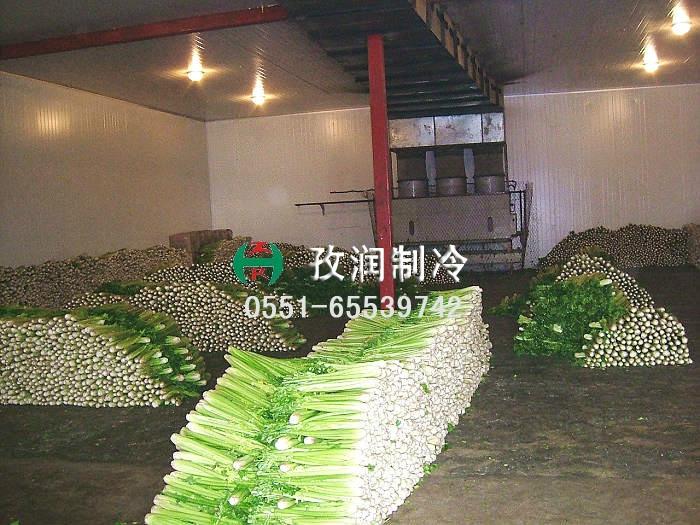 孜潤(rùn)巢湖蔬菜冷庫(kù)安裝圖片