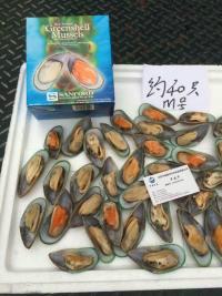 新西蘭圖片/新西蘭樣板圖 (3)