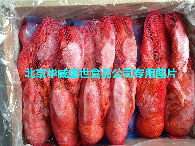 供應(yīng)加拿大熟凍波士頓龍蝦
