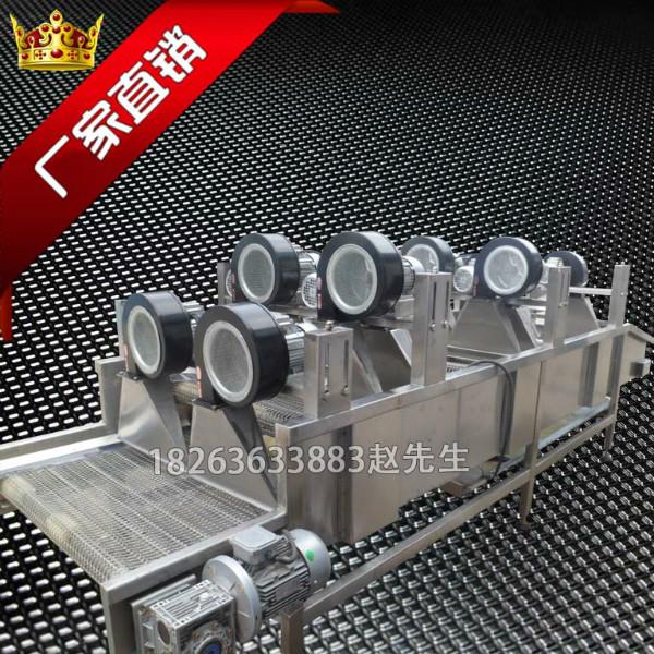 翻轉(zhuǎn)風干機流水線圖片