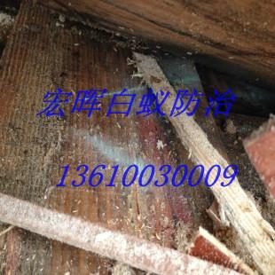 供應南華西街道滅白蟻價錢，南華西街道滅白蟻電話，南華西街道滅白蟻企業(yè)