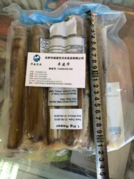 愛爾蘭圖片/愛爾蘭樣板圖 (4)