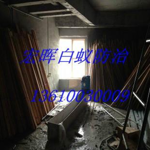 供應(yīng)東漖街白蟻防治，東漖街白蟻防治施工隊伍，東漖街白蟻防治單位