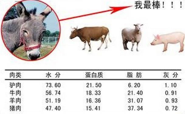 供應鎮(zhèn)*肉供應/鎮(zhèn)*肉供應批發(fā)/鎮(zhèn)*肉供應價格