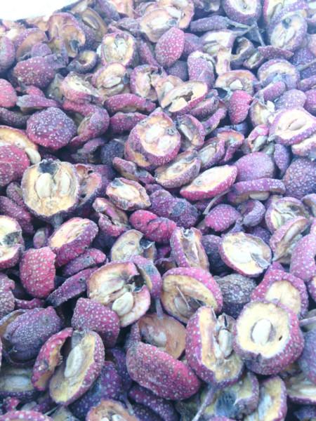 供應(yīng)山楂片投料應(yīng)