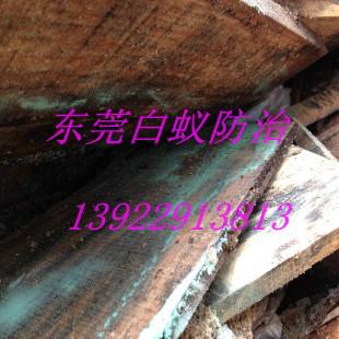 供應樟木頭*的白蟻防治公司，樟木頭哪家白蟻防治公司效果好