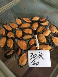 供應(yīng)進(jìn)口智利藍(lán)口貽貝特價