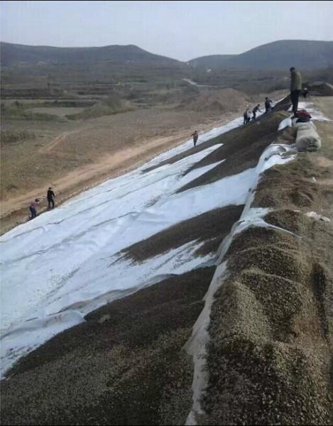 供應(yīng)用于水利工程|養(yǎng)殖池防滲的0.3mm土工膜