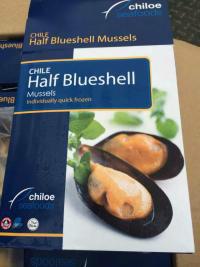 供應(yīng)進(jìn)口智利藍(lán)口貽貝特價