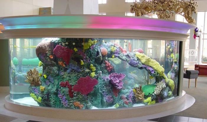 供應(yīng)橢圓形魚缸訂做橢圓形觀賞魚缸造景