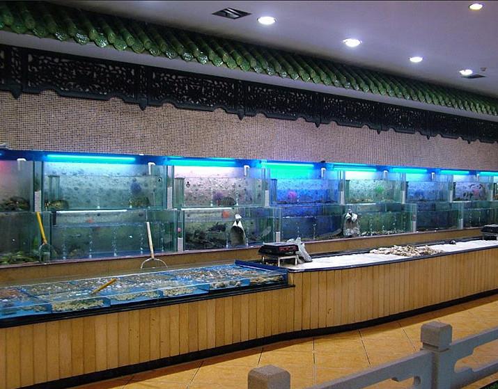 供應(yīng)保鮮魚池制冷海水魚缸魚池制冷訂做