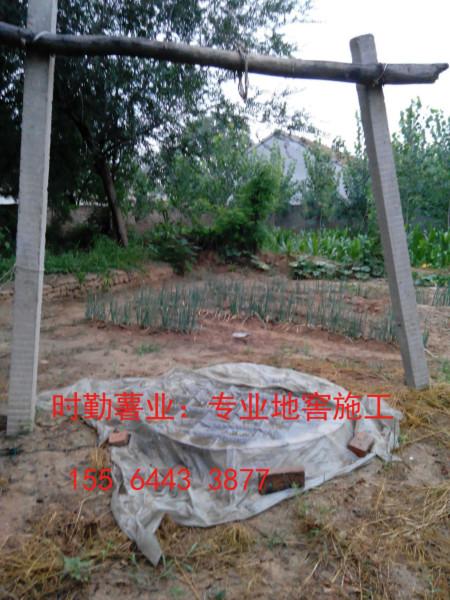 供應(yīng)河北紅薯地窖，河北紅薯儲存，河北地瓜儲存，河北地瓜地窖