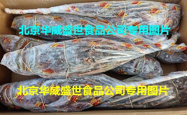 供應進口古巴龍蝦