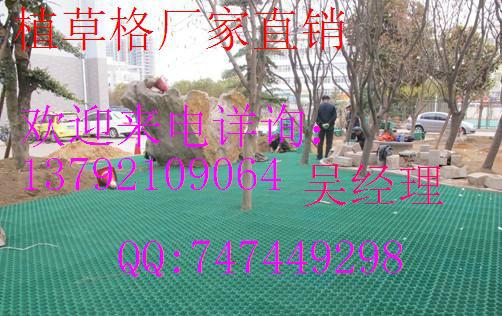 德州塑料植草格圖片
