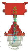 供应FZR-D系列防爆防腐照明灯具