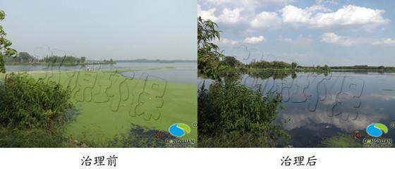 供應水草治理改善水生態(tài)環(huán)境