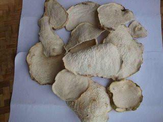 供應(yīng)富源魔芋種子價格，富村魔芋，花魔芋，高產(chǎn)魔芋