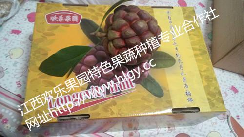 布福娜批發(fā)價(jià)格、上饒布福娜種植地