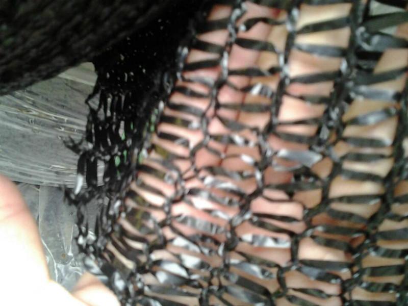 供應(yīng)防曬網(wǎng)廠家直銷2針遮陽(yáng)網(wǎng)