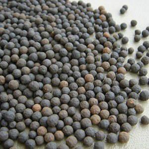 供應(yīng)用于水處理的廠家直銷供應(yīng)優(yōu)質(zhì)各種規(guī)格陶粒濾料