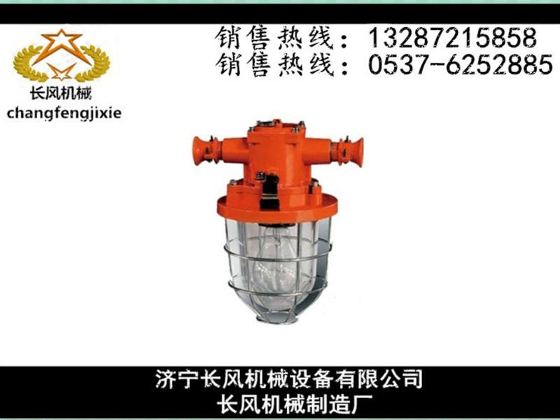 长风机械供应DGS60防爆白炽灯现货供应-质量至上图片