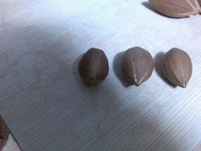 廣東橄欖核工藝原料批發(fā)，橄欖核工藝原料，橄欖核工藝原料價(jià)格