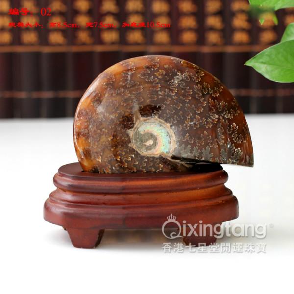 供應家居*擺件*天然玉化螺送禮