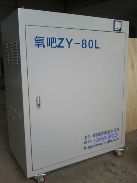 供應(yīng)北京氧吧制氧機 ktv制氧機 廠家直銷