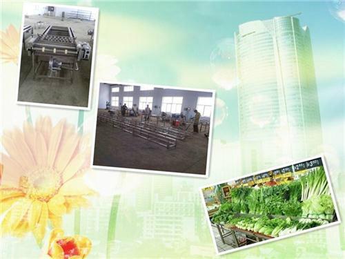 小型蘑菇漂燙機(jī)圖片