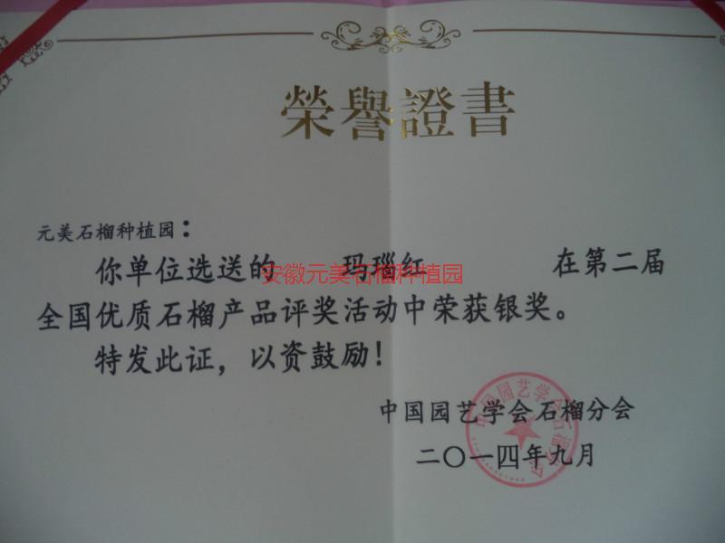 供應(yīng)安徽紅石榴批發(fā)，安徽紅石榴廠家，安徽紅石榴報價