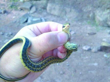 坂田圖片/坂田樣板圖 (3)