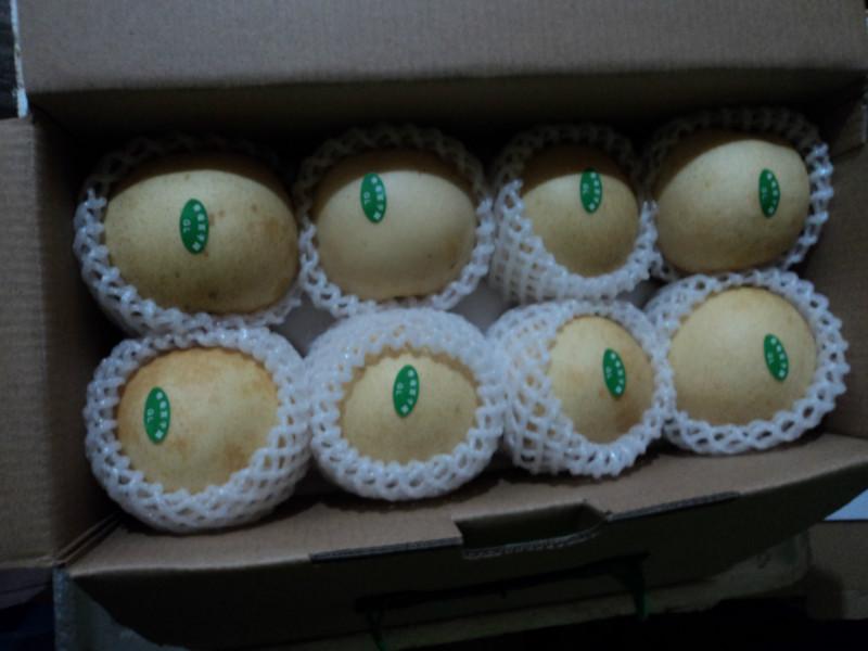 供應(yīng)高山黃桃