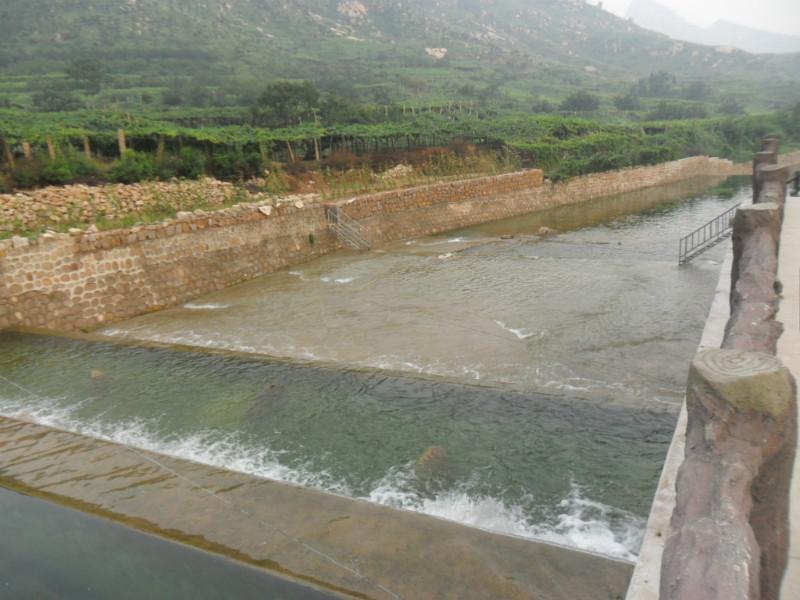翡翠島住宿圖片