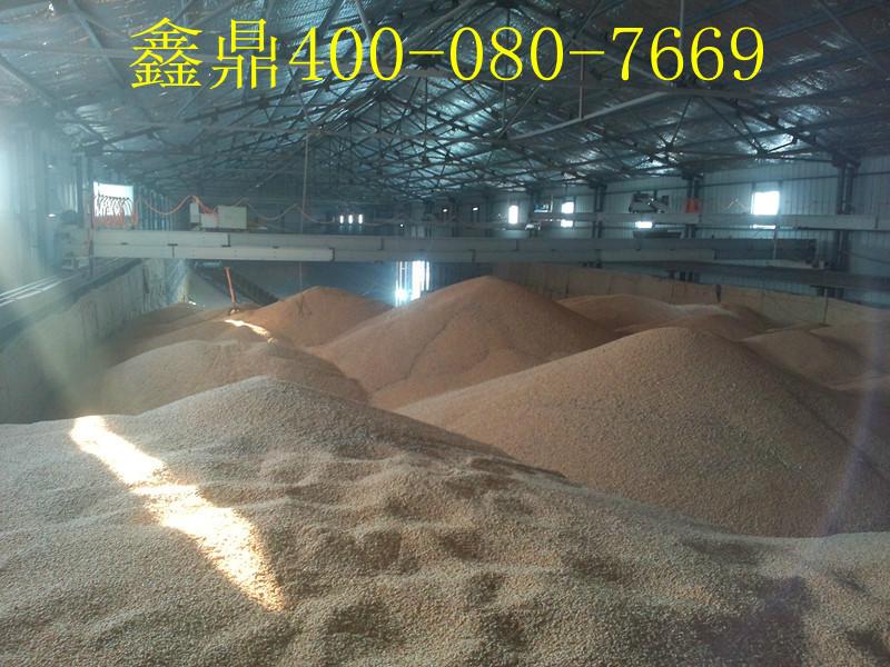 供應哪里有多點卸料平板輸送機