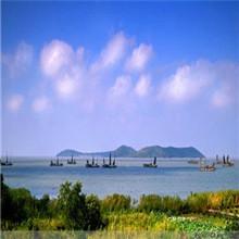 供應(yīng)蘇州東山太湖碧螺春新茶價(jià)錢_蘇州東山太湖碧螺春新茶江蘇優(yōu)質(zhì)供貨商