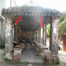 供應(yīng)蘇州東山今年碧螺春新茶價(jià)格_今年蘇州東山碧螺春新茶市場(chǎng)行情供貨商