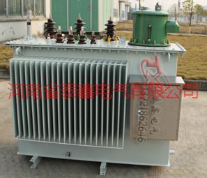 供應(yīng)ZSG11特種變壓器，整流變壓器，河南變壓器廠