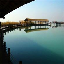 供應(yīng)碧螺春新茶炒青批發(fā)_蘇州東山碧螺春新茶炒青直銷價格中國優(yōu)質(zhì)供貨商